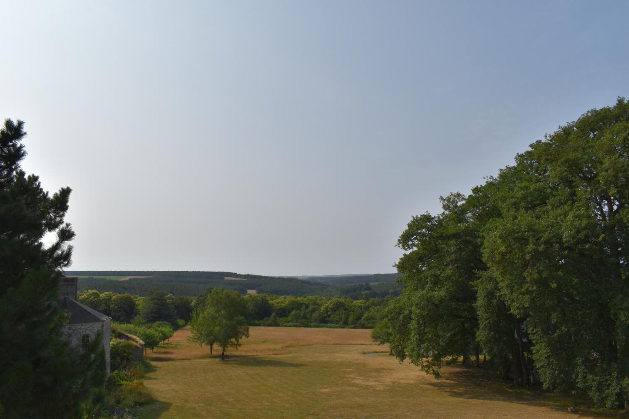 Chateau De Bezyl Sixt-sur-Aff Exteriör bild